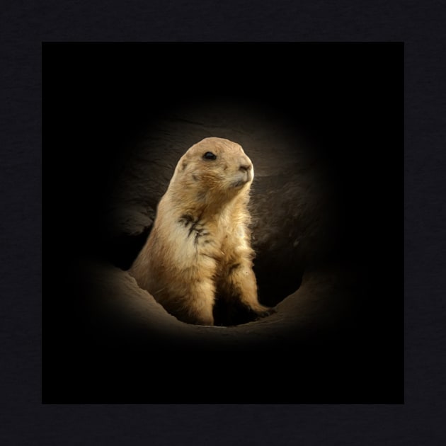 Prairie dog by Guardi